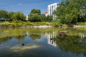 sprzedam nowy dom Warszawa Kabaty sprzedam nowy dom Warszawa Kabaty