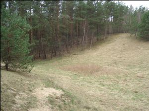 sprzedam działkę Jabłonka Jabłonka sprzedam działkę Jabłonka Jabłonka