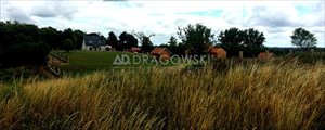 sprzedam działkę Nasy sprzedam działkę Nasy