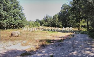 sprzedam działkę Miączyn sprzedam działkę Miączyn