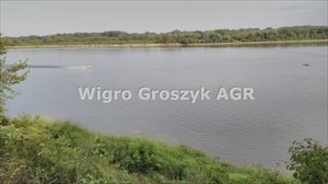 sprzedam działkę Miączyn sprzedam działkę Miączyn