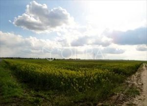 sprzedam działkę Oława sprzedam działkę Oława