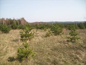 sprzedam działkę Olsztyn Biskupice sprzedam działkę Olsztyn Biskupice