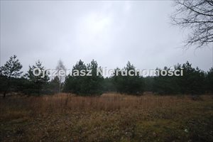 sprzedam działkę Bydgoszcz Zamczysko sprzedam działkę Bydgoszcz Zamczysko