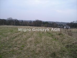 sprzedam działkę Wólka Przybójewska sprzedam działkę Wólka Przybójewska
