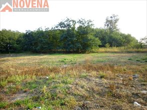 sprzedam działkę Trzebnica sprzedam działkę Trzebnica