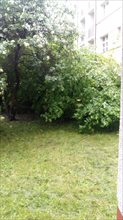 sprzedam mieszkanie Katowice Śródmieście sprzedam mieszkanie Katowice Śródmieście