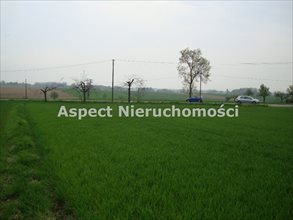 sprzedam działkę Pawłowice sprzedam działkę Pawłowice