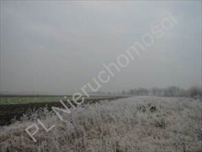 sprzedam działkę Błonie sprzedam działkę Błonie
