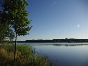 sprzedam działkę Swornegacie Jezioro Witoczno sprzedam działkę Swornegacie Jezioro Witoczno