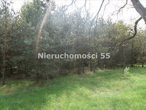 sprzedam działkę Bełchatów Bełchatów sprzedam działkę Bełchatów Bełchatów