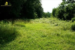 Działka na sprzedaż Krasiejów 