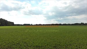 Działka na sprzedaż Grabczok 