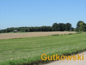sprzedam działkę Starzykowo Gm. Iława sprzedam działkę Starzykowo Gm. Iława