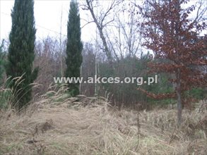 sprzedam działkę Wołomin Wołominek sprzedam działkę Wołomin Wołominek