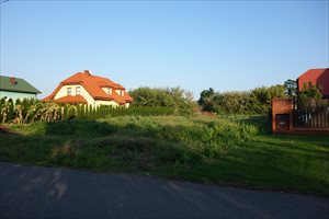 sprzedam działkę Bieniewice sprzedam działkę Bieniewice