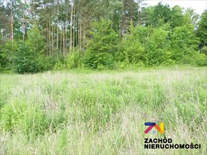 sprzedam działkę Gorzów Wielkopolski sprzedam działkę Gorzów Wielkopolski