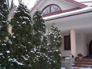 wynajmę dom Warszawa Wesoła wynajmę dom Warszawa Wesoła