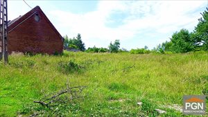 sprzedam działkę POBIEROWO OKOLICA sprzedam działkę POBIEROWO OKOLICA