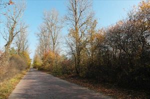 wydzierżawię działkę Warszawa Wilanów, Wilanów wydzierżawię działkę Warszawa Wilanów, Wilanów