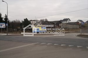 wydzierżawię działkę Chojnice wydzierżawię działkę Chojnice