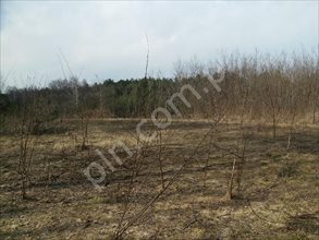 sprzedam działkę Nowy Janków sprzedam działkę Nowy Janków