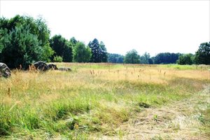 Działka na sprzedaż Zagwiździe 