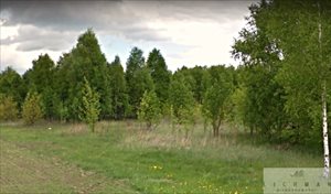 sprzedam działkę Łódź Widzew sprzedam działkę Łódź Widzew
