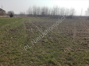 sprzedam działkę Suchy Las sprzedam działkę Suchy Las