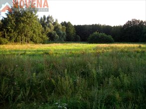 sprzedam działkę Cieśle sprzedam działkę Cieśle