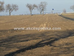 sprzedam działkę Kopytów sprzedam działkę Kopytów