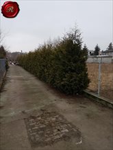 sprzedam działkę Bydgoszcz Miedzyń sprzedam działkę Bydgoszcz Miedzyń