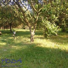 sprzedam działkę Sosnowiec Klimontów sprzedam działkę Sosnowiec Klimontów