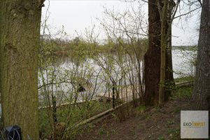 sprzedam działkę Pułtusk sprzedam działkę Pułtusk