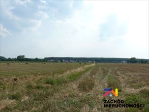 sprzedam działkę Gorzów Wielkopolski Zamoście sprzedam działkę Gorzów Wielkopolski Zamoście