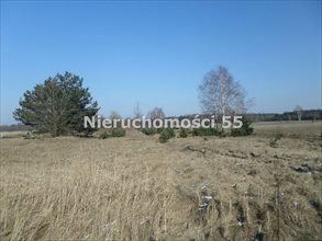 sprzedam działkę Bełchatów Augustynów sprzedam działkę Bełchatów Augustynów