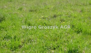 sprzedam działkę Nowa Wieś sprzedam działkę Nowa Wieś