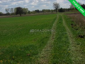 sprzedam działkę Robercin sprzedam działkę Robercin