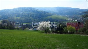 sprzedam działkę Brenna sprzedam działkę Brenna