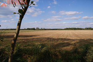 sprzedam działkę Biedaszków Wielki sprzedam działkę Biedaszków Wielki