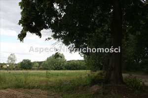 sprzedam działkę Bolesławów sprzedam działkę Bolesławów