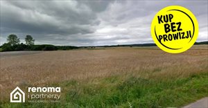 sprzedam działkę Wierzchowo sprzedam działkę Wierzchowo