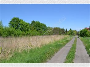 sprzedam działkę Błonie sprzedam działkę Błonie