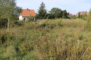 sprzedam działkę Wietrzychowo sprzedam działkę Wietrzychowo