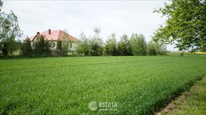 sprzedam działkę Juszczyn sprzedam działkę Juszczyn