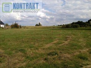 sprzedam działkę Niekłonice Na Górce sprzedam działkę Niekłonice Na Górce