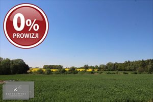 sprzedam działkę Syców Wielowieś sprzedam działkę Syców Wielowieś