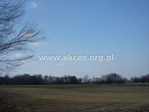sprzedam działkę Zadębie sprzedam działkę Zadębie