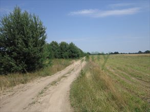 sprzedam działkę Michałów sprzedam działkę Michałów