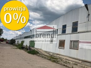 wynajmę magazyn Chełm wynajmę magazyn Chełm